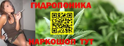 трава Тара