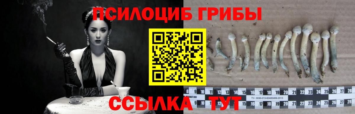 Псилоцибиновые грибы Cubensis Кушва